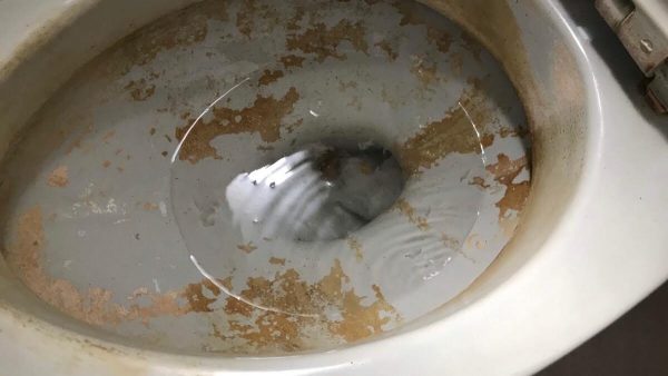 男子 トイレ の 尿 石 の 取り 方